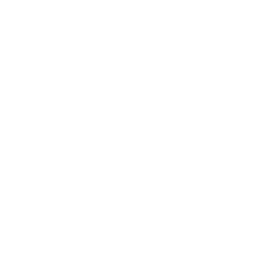 codrsync — a coruja